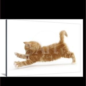 Meet your Posher, Dolores